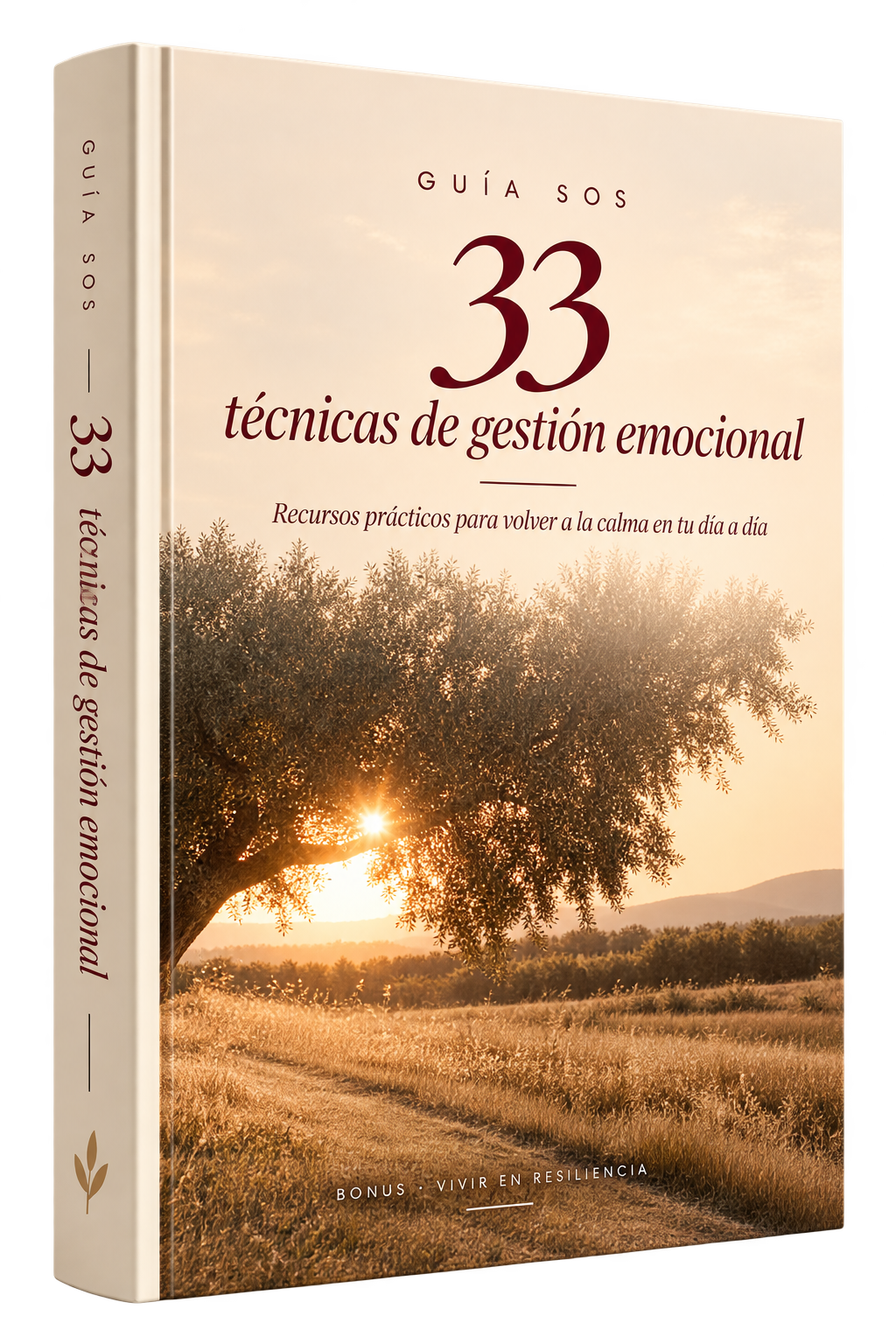 33 Ténicas de Gestión emocional